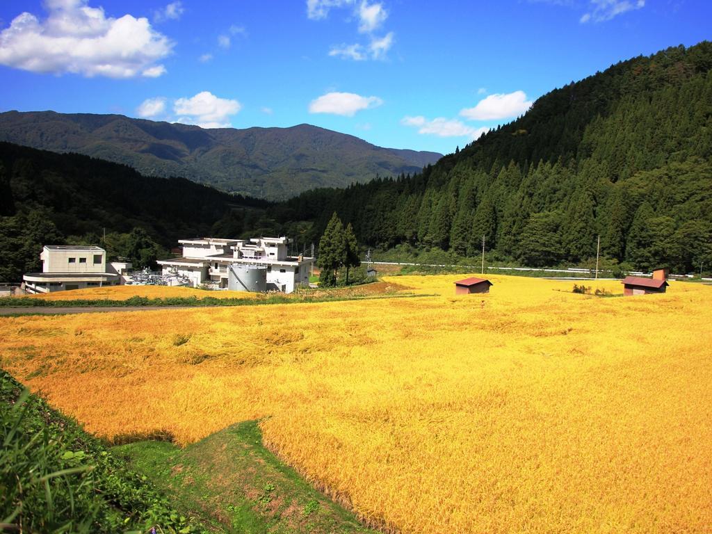 Chouchinya Hotel Nozawaonsen Exterior photo